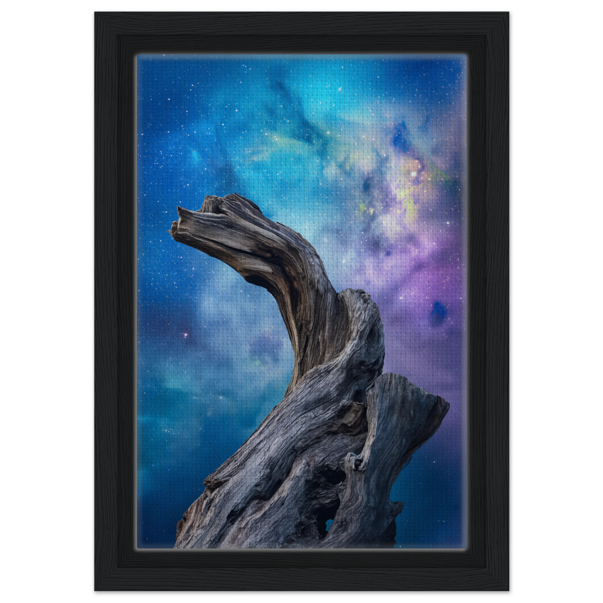 Twisted driftwood against a cosmic backdrop in Celestial Drift Saga room decor