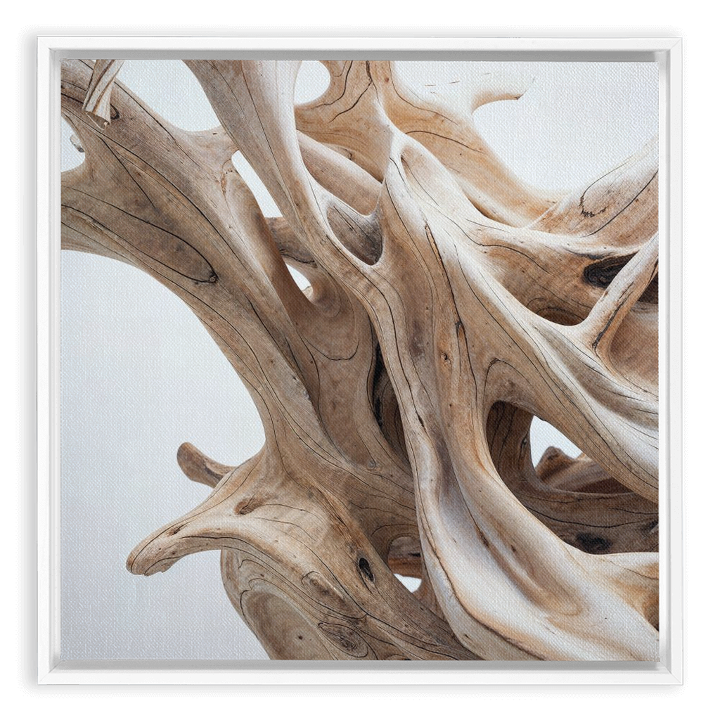 A close up of a piece of driftwood with a white background