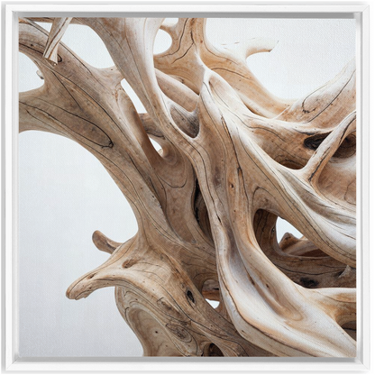 A close up of a piece of driftwood with a white background