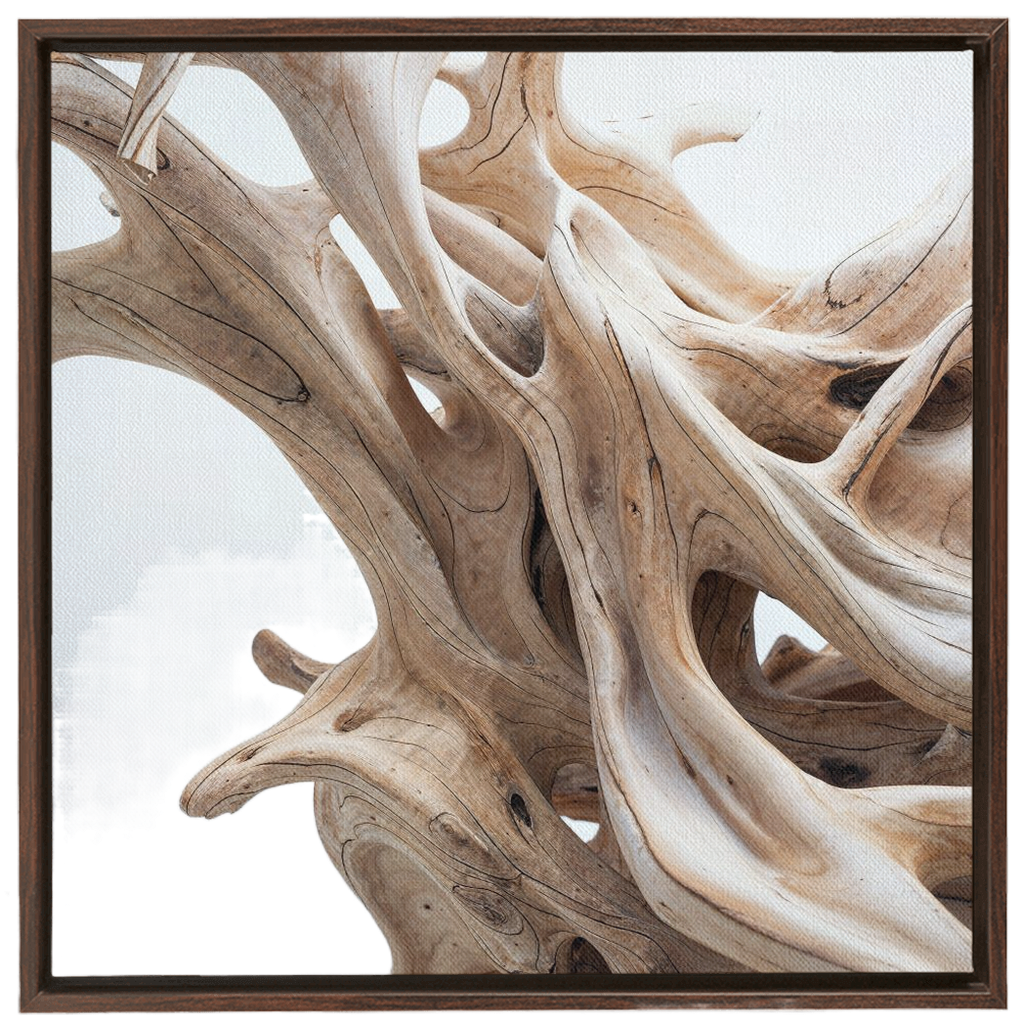 Driftwood framed art print