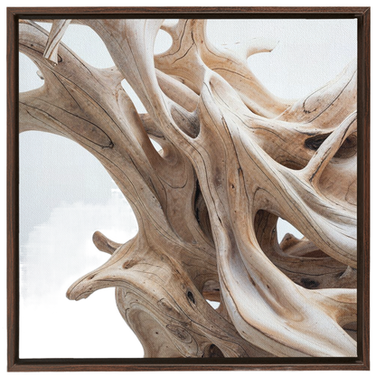 Driftwood framed art print