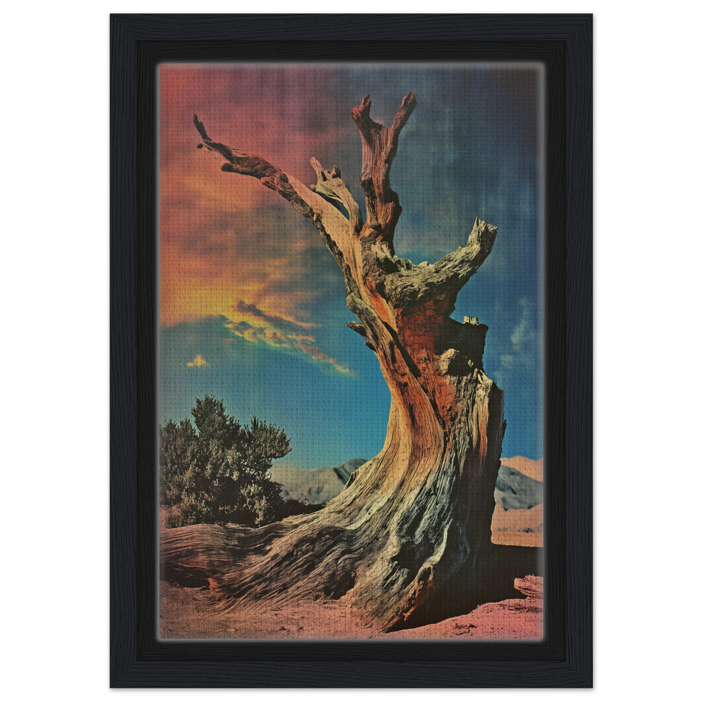 Gnarled dead tree trunk against a colorful sky in Ecstatic Tree Reverie framed canvas print