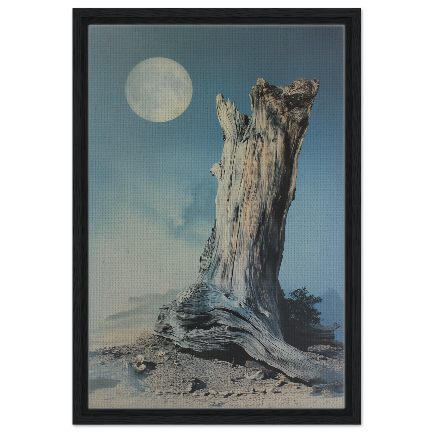 Weathered tree stump under a full moon in Ecstatic Wilderness Dreams framed canvas print