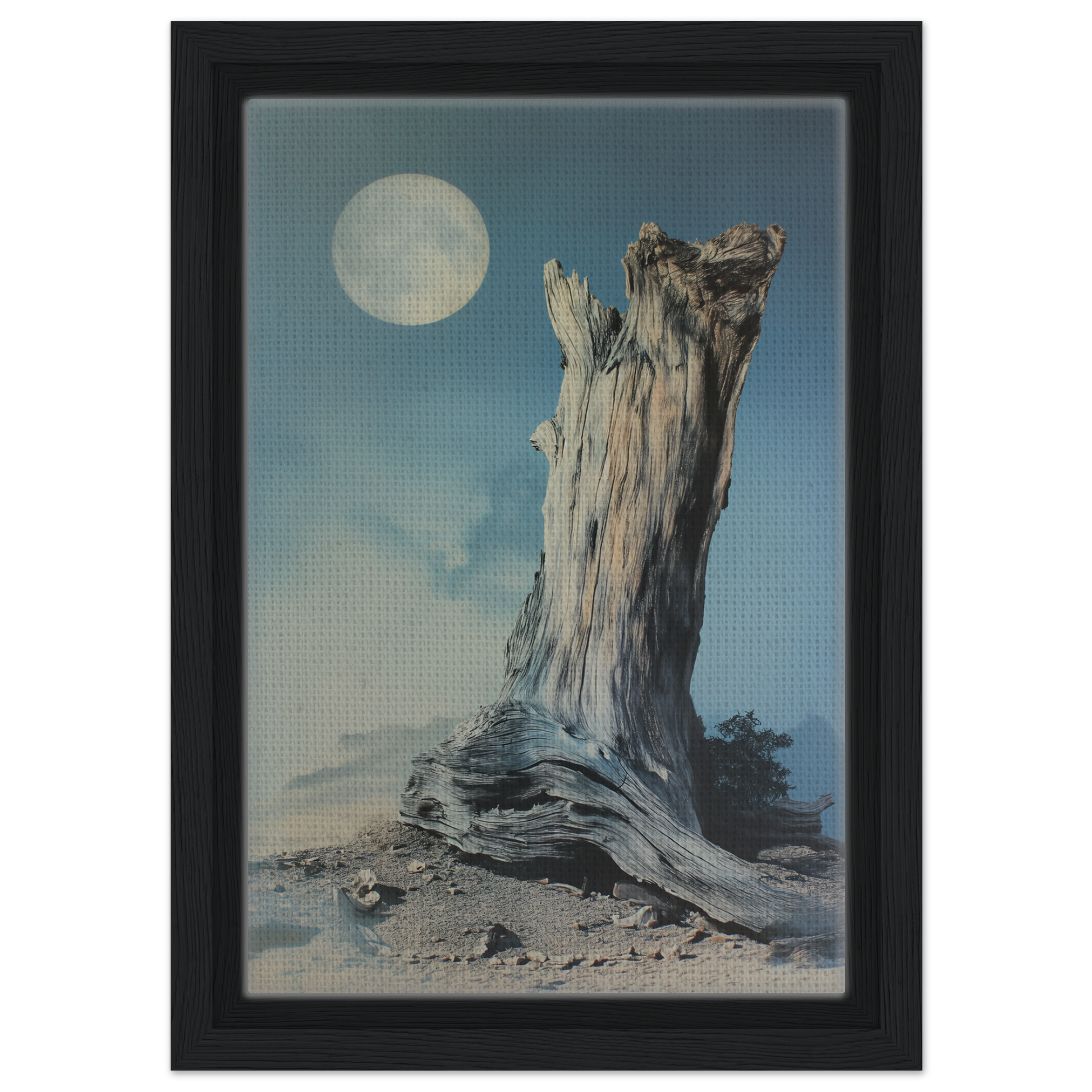 Weathered tree stump under a full moon for Ecstatic Wilderness Dreams framed canvas print