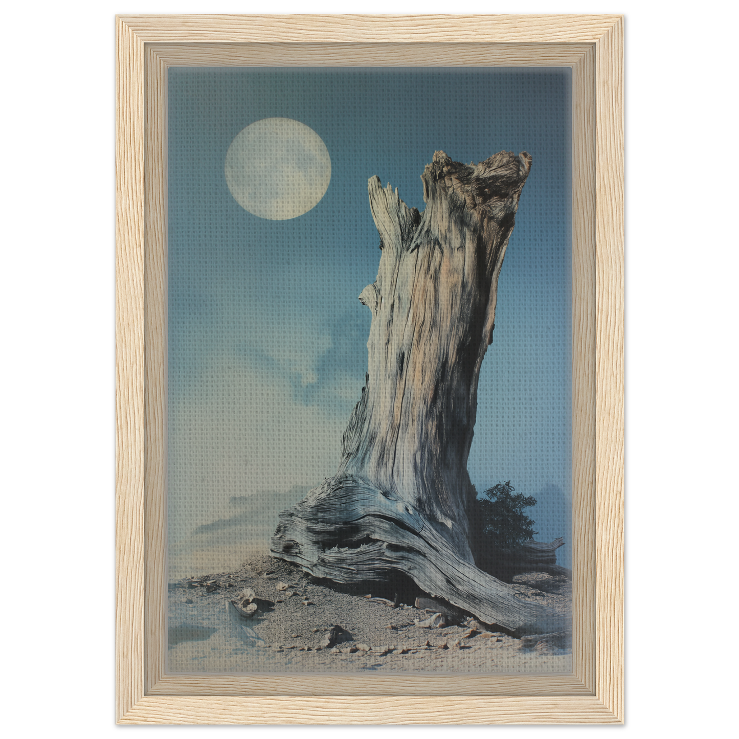 Weathered gnarled tree stump under a full moon in Ecstatic Wilderness Dreams framed canvas print