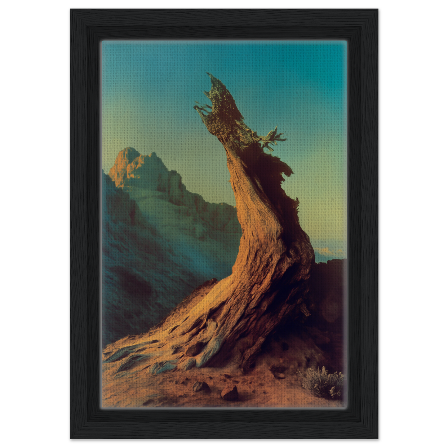 Gnarled tree stump illuminated by warm light in Enduring Sentinel’s Waltz framed canvas print