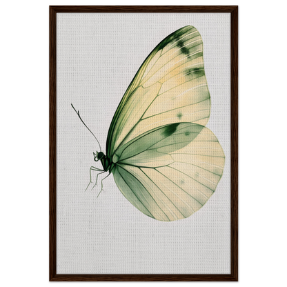 Delicate butterfly with pale yellow and green wings on Ephemeral Wingtime Suspension canvas