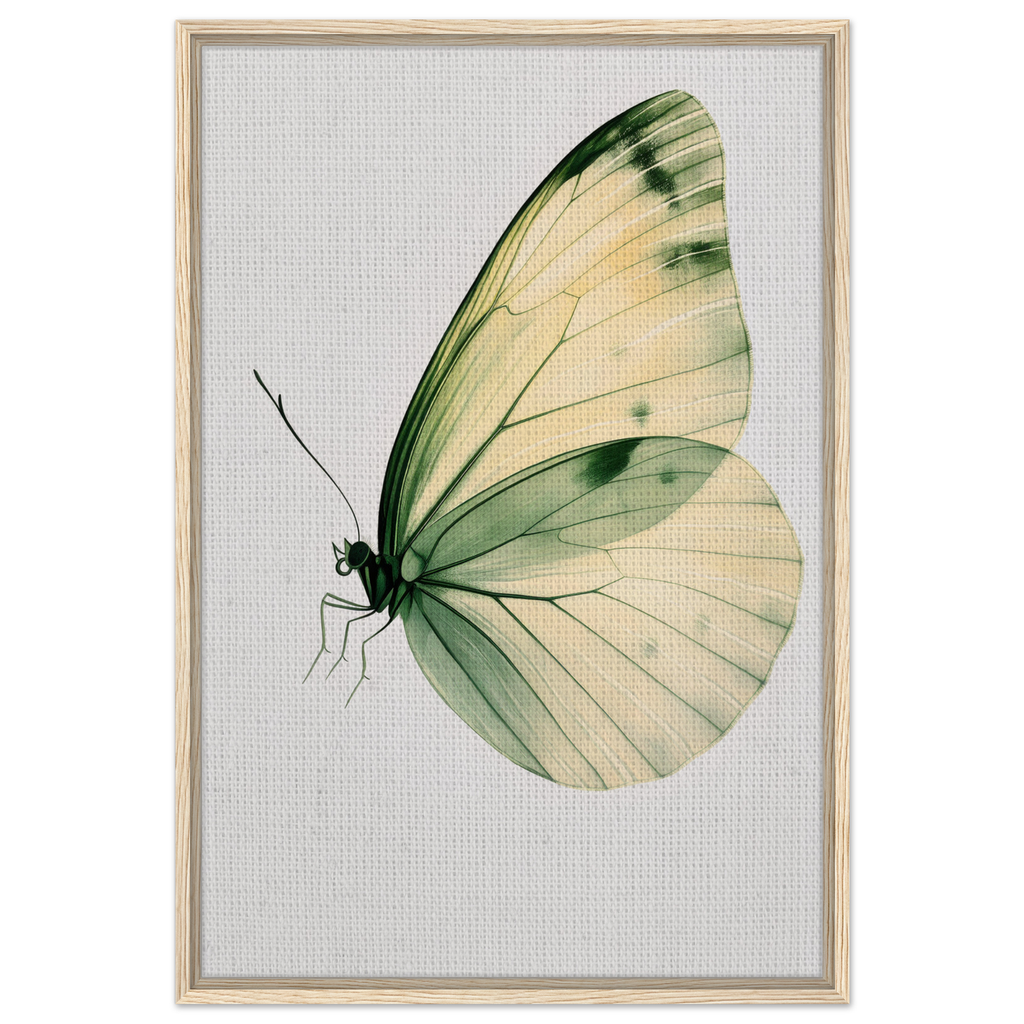 Delicate butterfly with pale green and cream wings featured in Ephemeral Wingtime Suspension canvas wall art