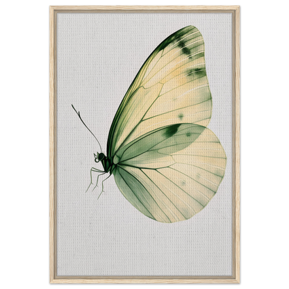 Delicate butterfly with pale green and cream wings featured in Ephemeral Wingtime Suspension canvas wall art