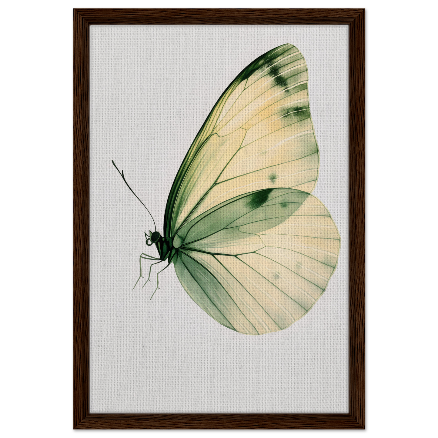 Delicate butterfly in profile view, featured in Ephemeral Wingtime Suspension canvas wall art