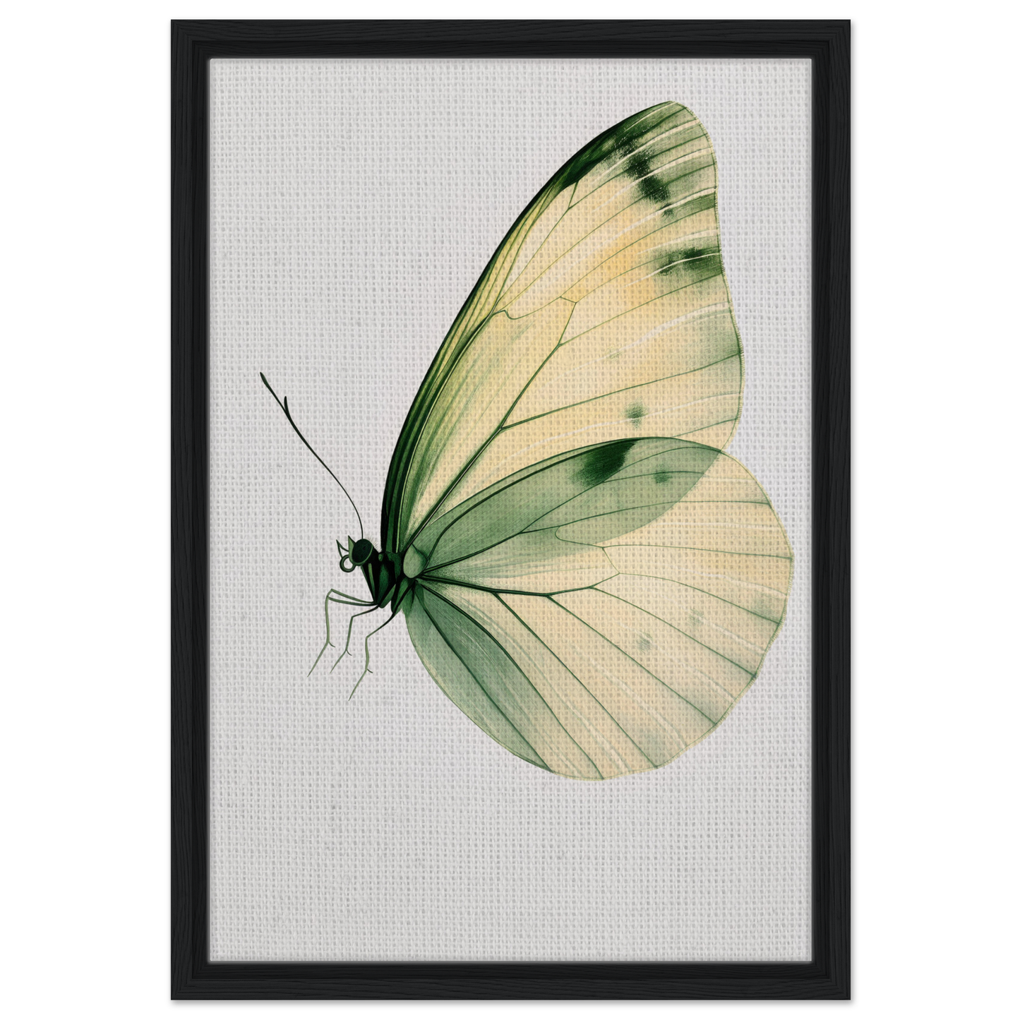 Delicate butterfly with green and cream wings for Ephemeral Wingtime Suspension canvas wall art