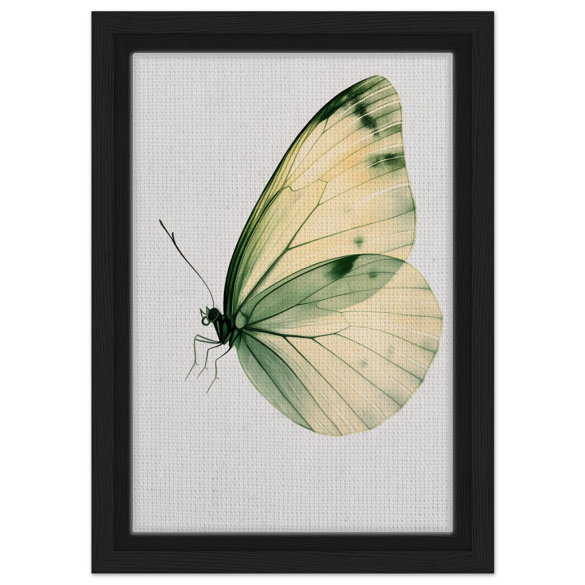 Delicate butterfly in pale green and cream, featured in Ephemeral Wingtime Suspension canvas wall art