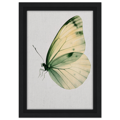 Delicate butterfly in pale green and cream, featured in Ephemeral Wingtime Suspension canvas wall art