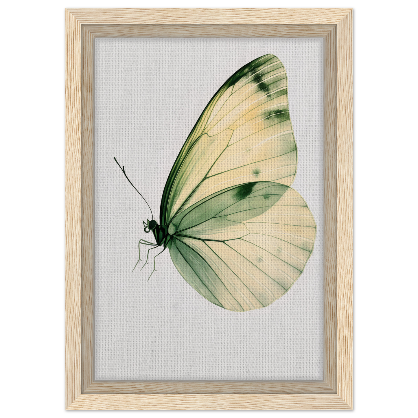 Delicate butterfly with pale green wings featured in Ephemeral Wingtime Suspension canvas wall art