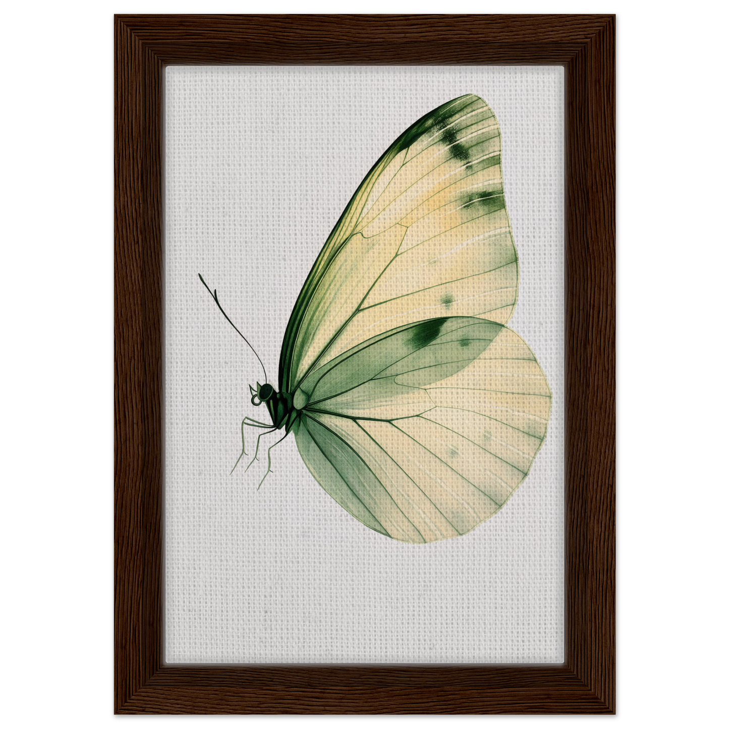 Delicate butterfly with pale green and white wings for Ephemeral Wingtime Suspension canvas wall art