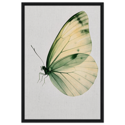 Delicate butterfly with green and cream wings in Ephemeral Wingtime Suspension canvas wall art