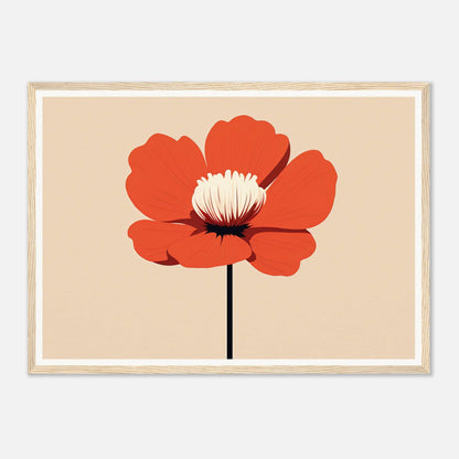 Vibrant red poppy flower with a white center on a slender stem.