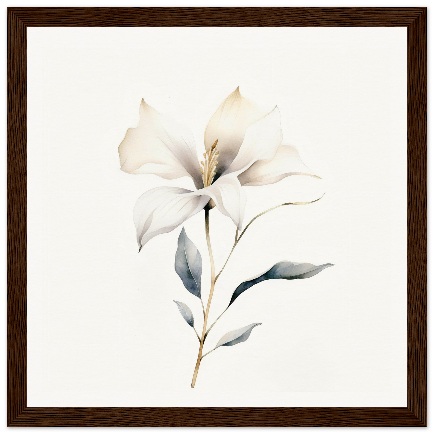 Delicate white lily flower with soft petals and a slender stem.