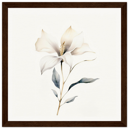 Delicate white lily flower with soft petals and a slender stem.