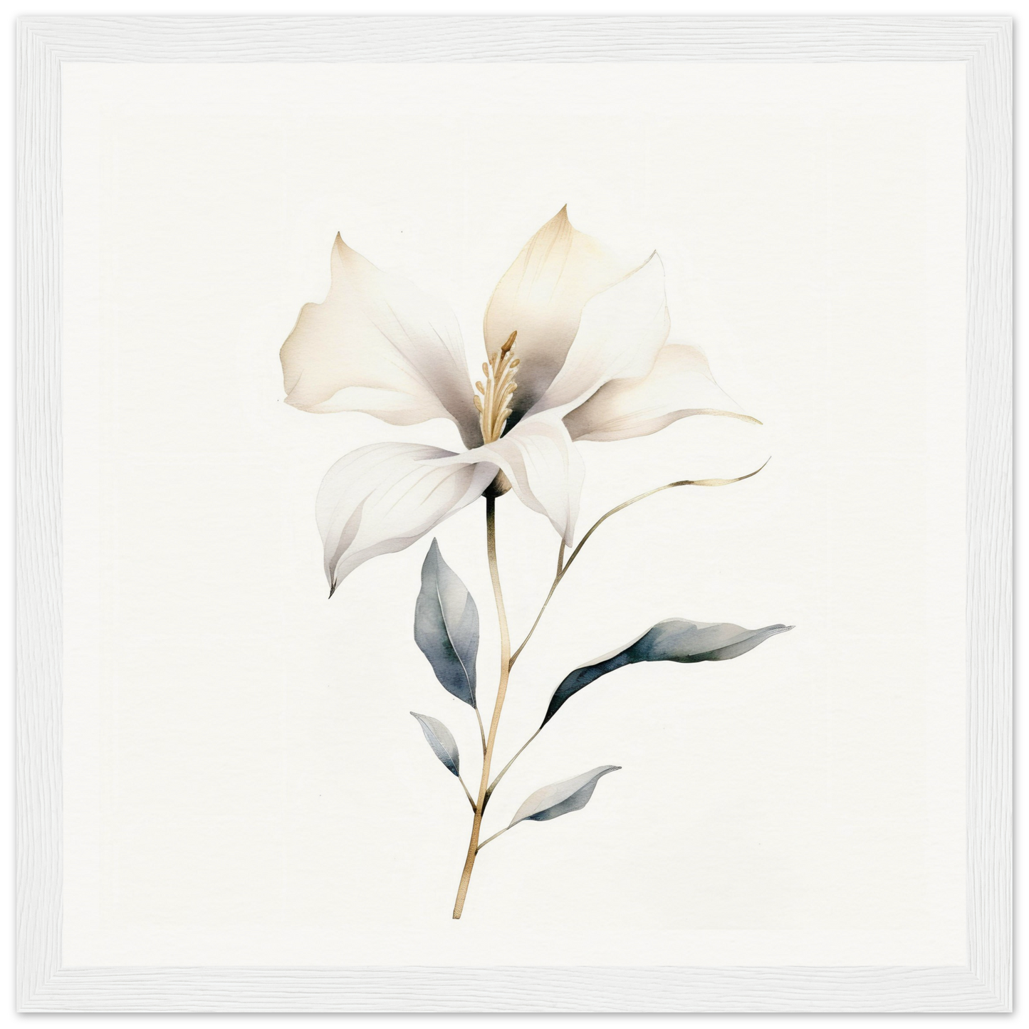 Delicate white lily flower with soft green leaves on a slender stem.