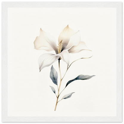 Delicate white lily flower with soft green leaves on a slender stem.