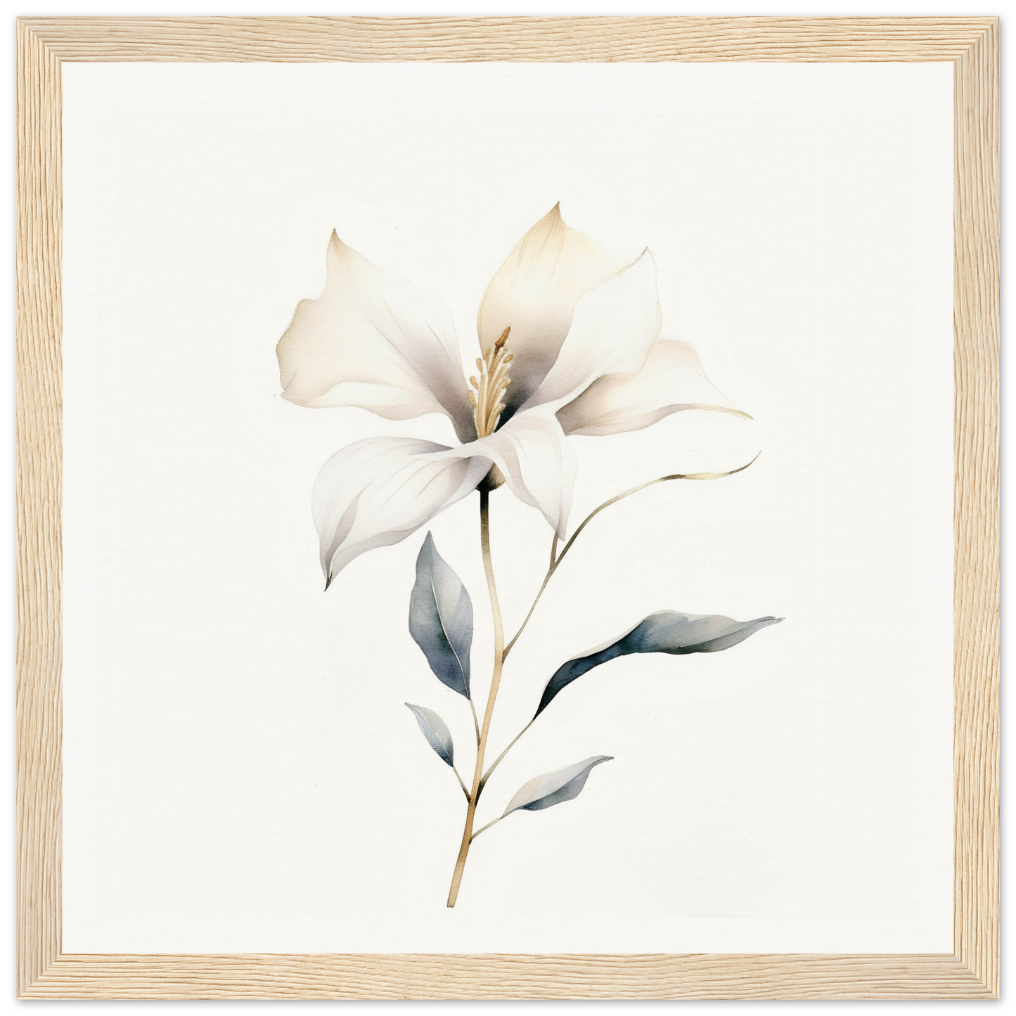 Delicate white lily flower with soft petals and a slender stem.