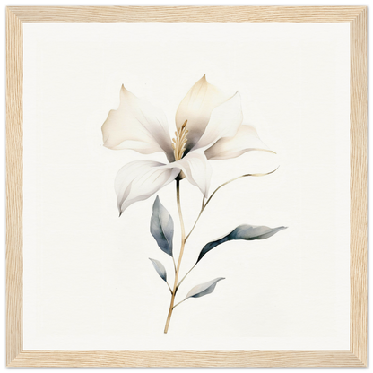 Delicate white lily flower with soft petals and a slender stem.