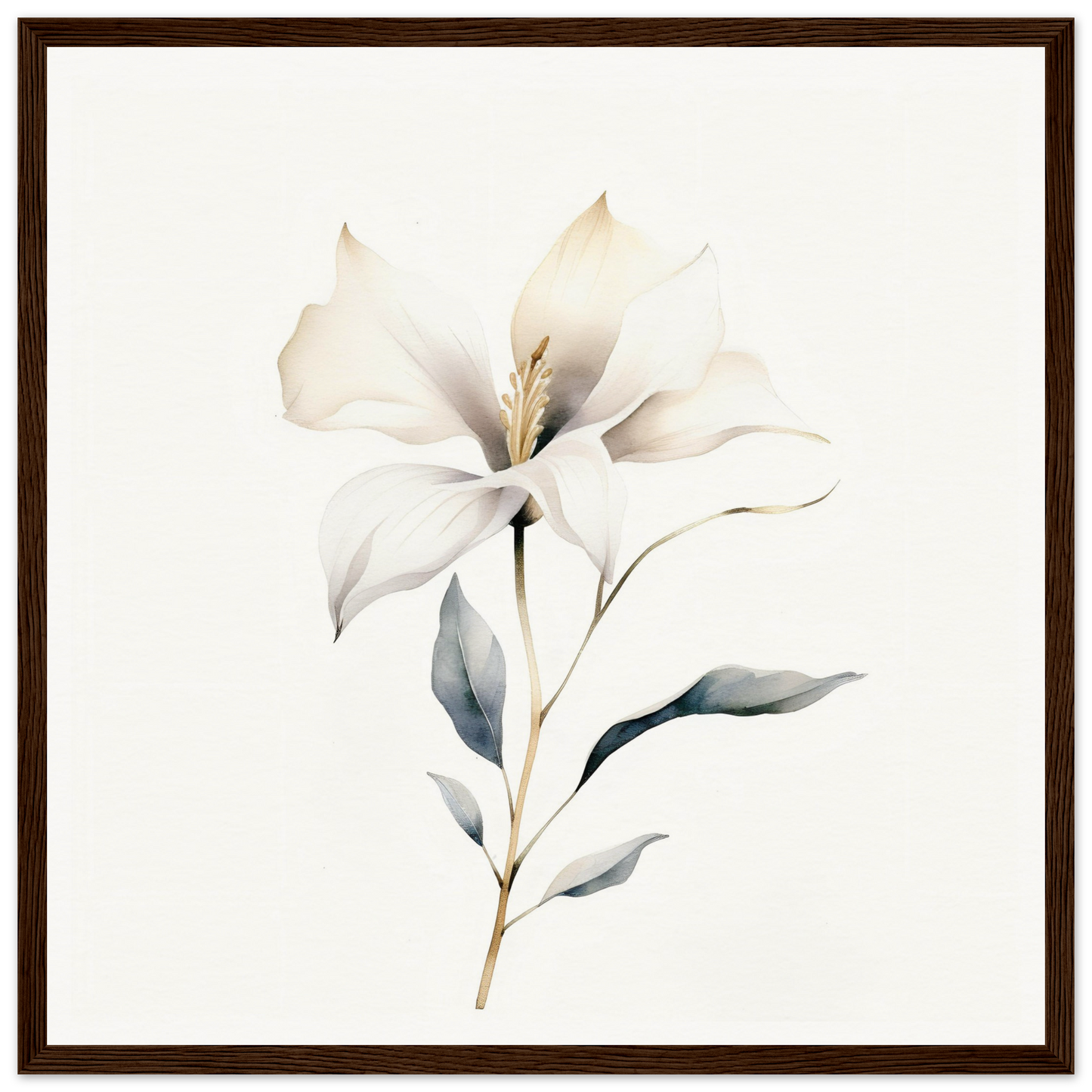 Delicate white flower with soft petals and subtle gray-green leaves on a slender stem.