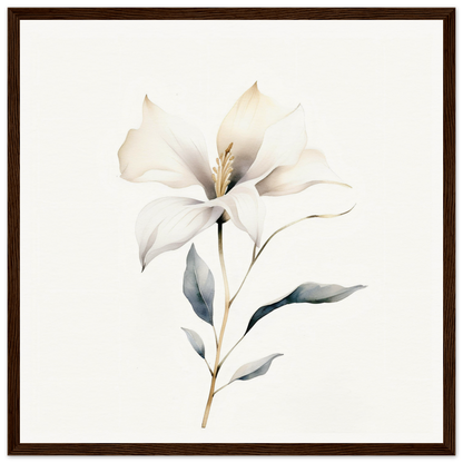 Delicate white flower with soft petals and subtle gray-green leaves on a slender stem.