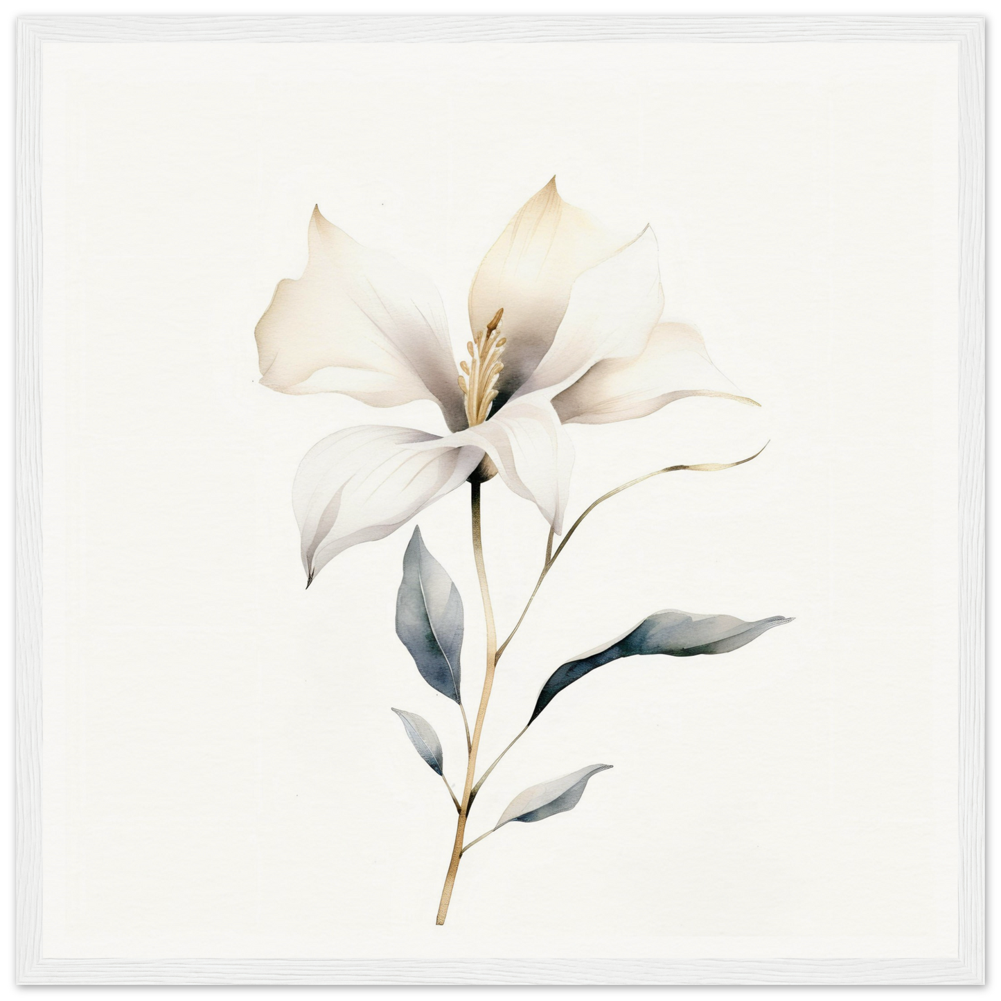 Delicate white flower with soft petals and a slender stem.