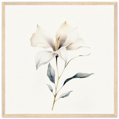 Delicate white flower with soft petals and a slender stem.