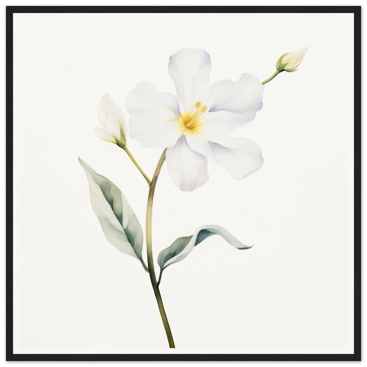 Delicate white flower with five petals and a yellow center on a slender green stem.