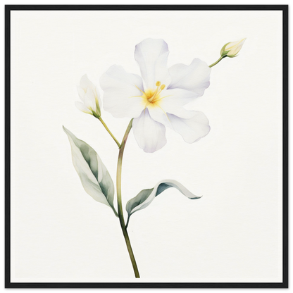 Delicate white flower with five petals and a yellow center on a slender green stem.