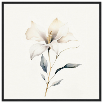 Delicate white flower with soft petals and a slender stem.