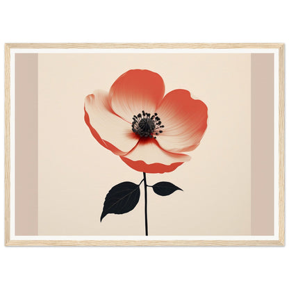 Red and white poppy flower with a black center and stem.