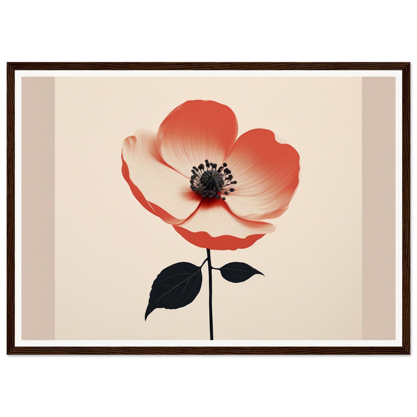 Red and white poppy flower with a black center and stem.