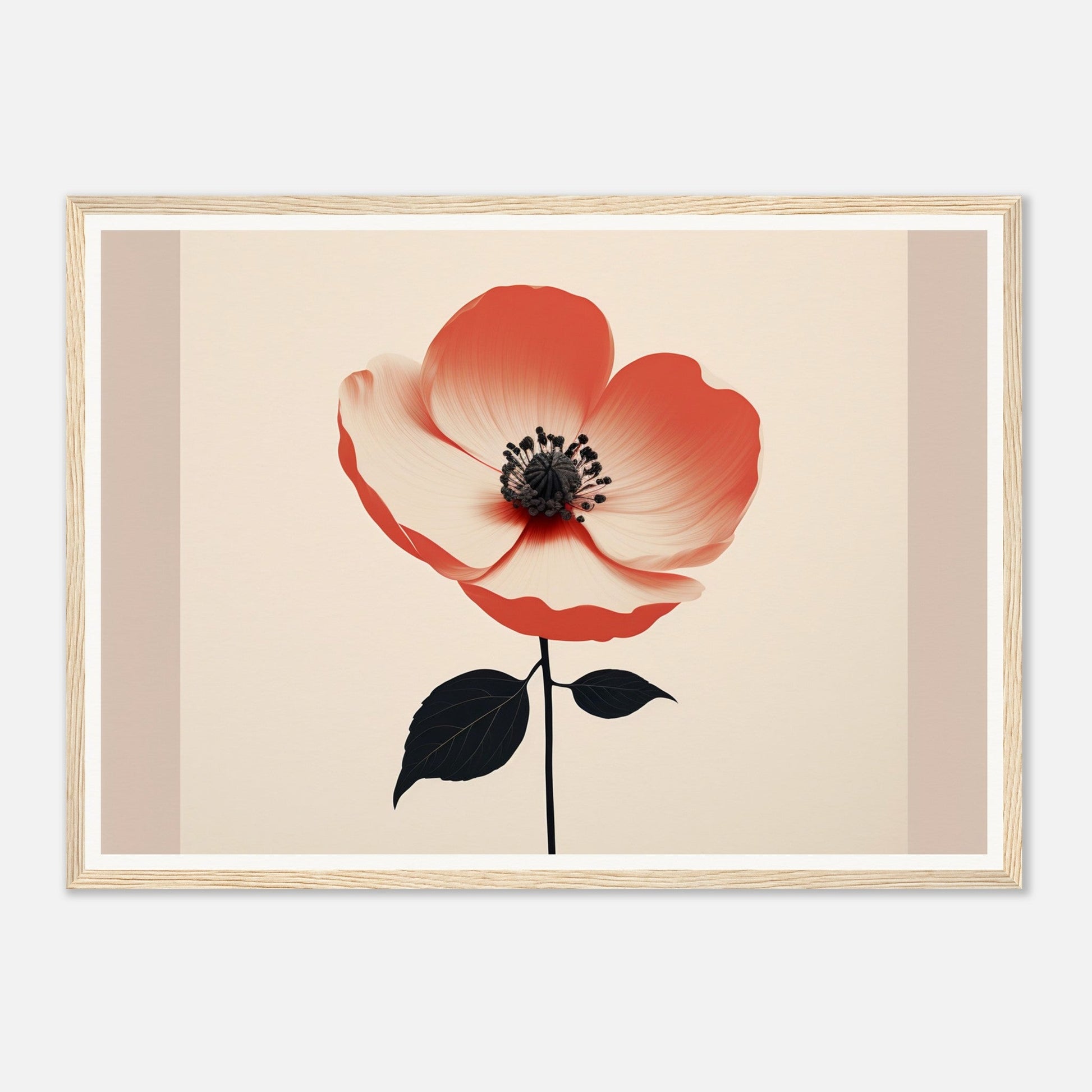 Red and white poppy flower with a black center and stem.