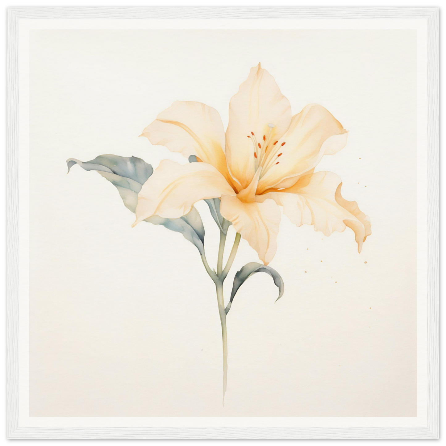 Delicate peach-colored lily with soft petals and a green stem.