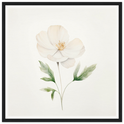 Delicate white flower with pale green leaves painted in watercolor style.