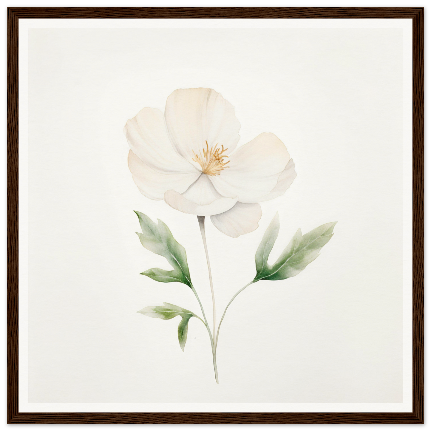 Delicate white flower with pale green leaves and stem, painted in a soft watercolor style.