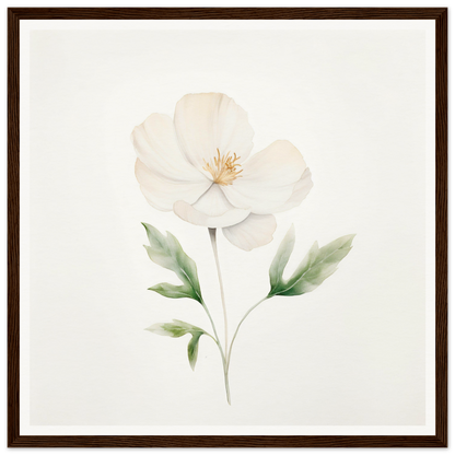 Delicate white flower with pale green leaves and stem, painted in a soft watercolor style.