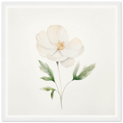 Delicate white flower with pale green leaves and a yellow center, painted in a soft watercolor style.