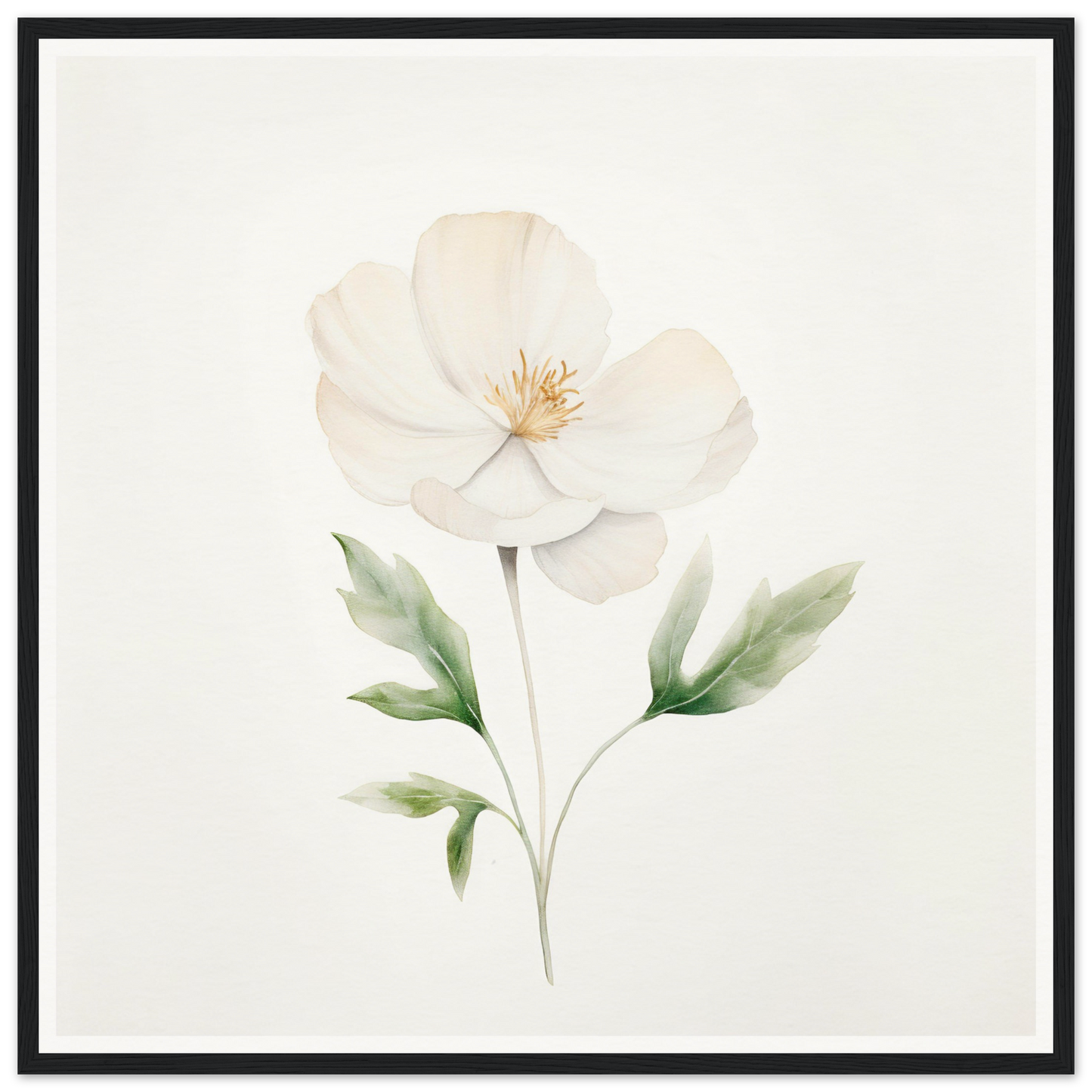 Delicate white flower with pale green leaves painted in watercolor style.