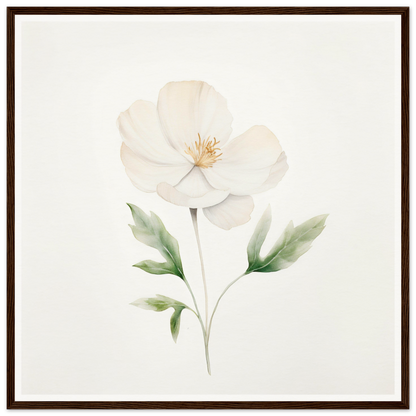 Delicate white flower with pale green leaves painted in watercolor style.