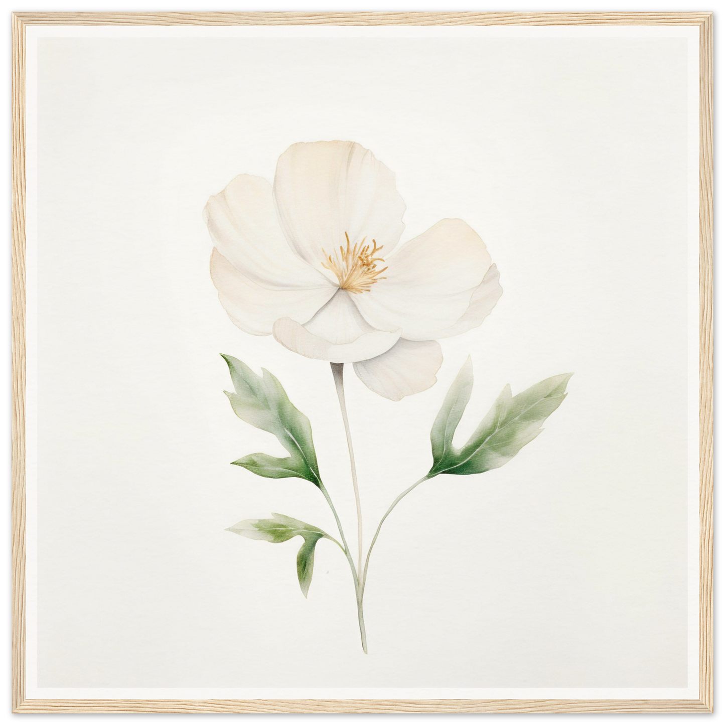 Delicate white flower with pale green leaves painted in a soft watercolor style.