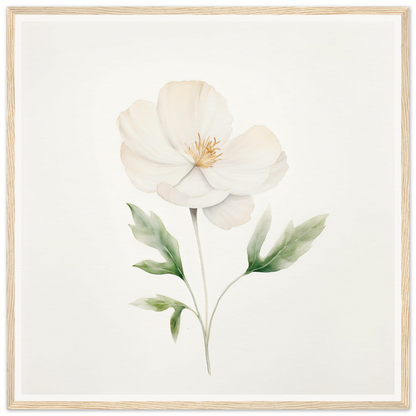 Delicate white flower with pale green leaves painted in a soft watercolor style.