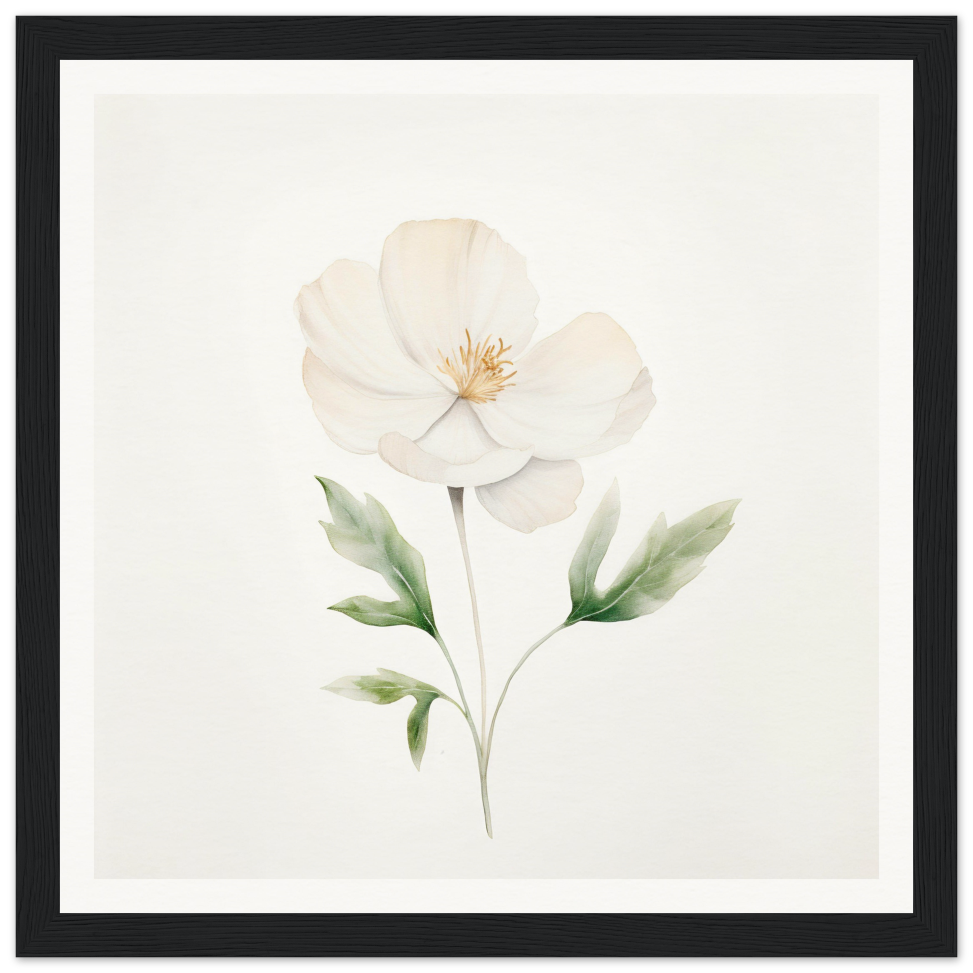 Delicate white flower with pale green leaves and stem in watercolor style.