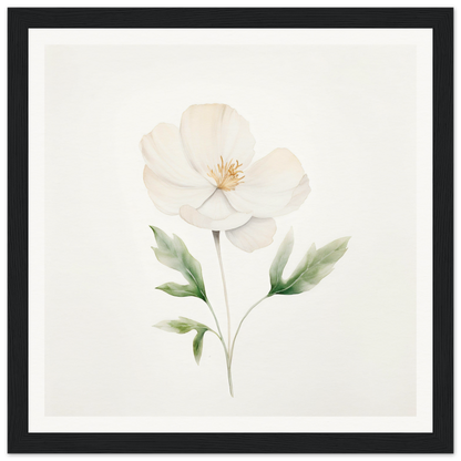 Delicate white flower with pale green leaves and stem in watercolor style.