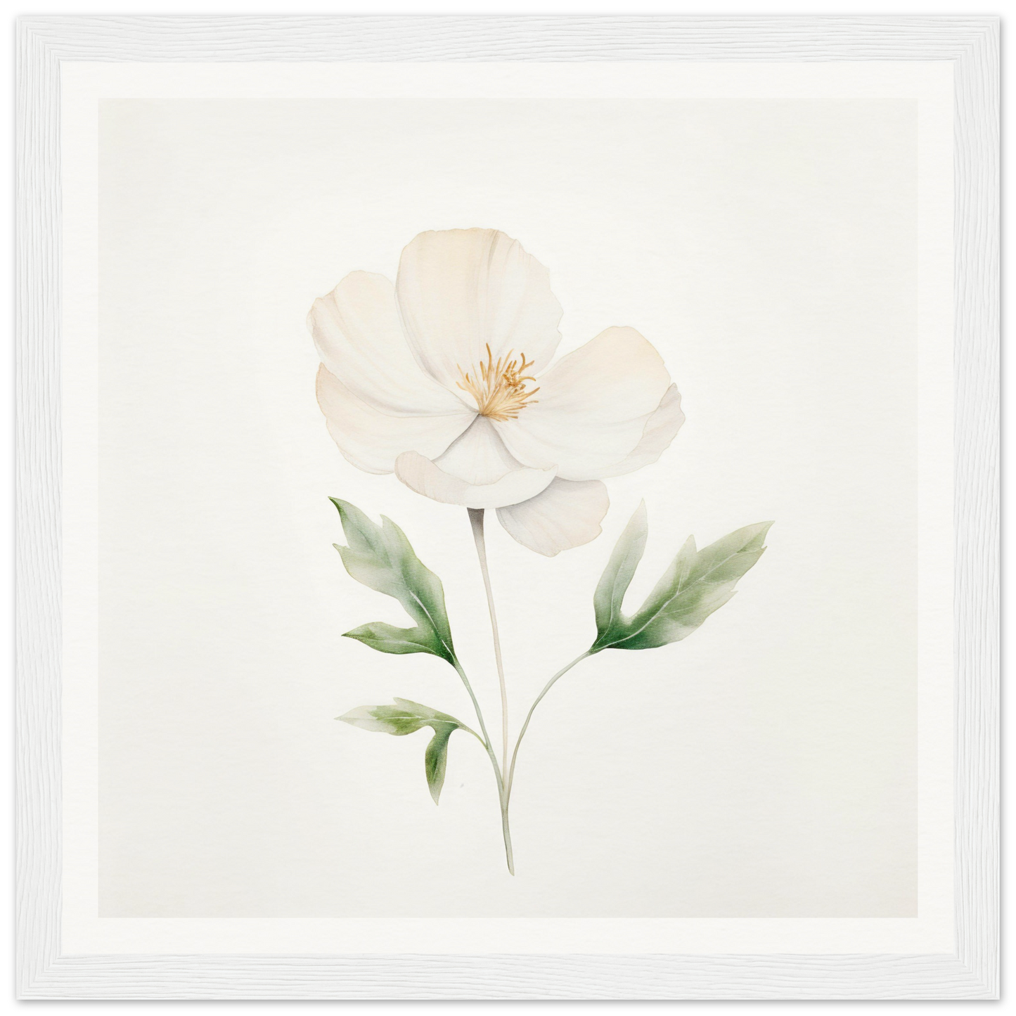 Delicate white flower with pale green leaves and stem painted in watercolor style.