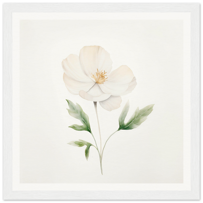 Delicate white flower with pale green leaves and stem painted in watercolor style.